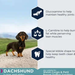 Eukanuba Adult Breed Specific Dachshund