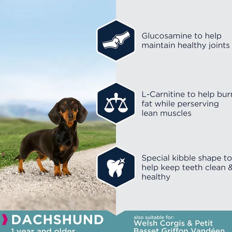 Eukanuba Adult Breed Specific Dachshund
