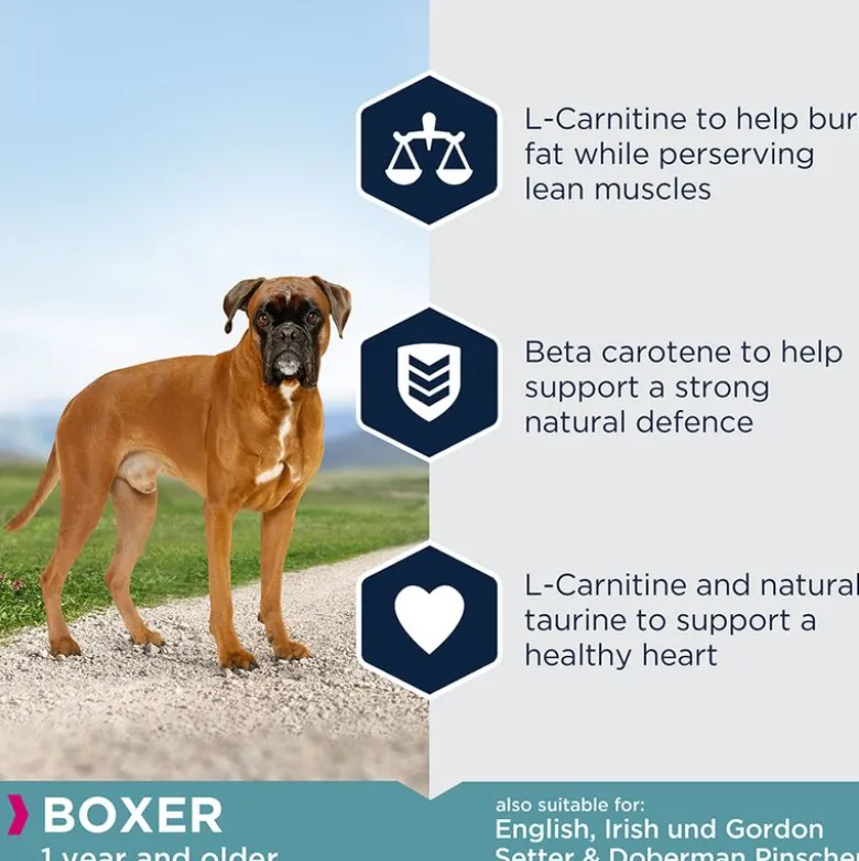 Eukanuba Adult Breed Specific Boxer