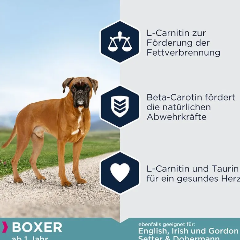 Eukanuba Adult Breed Specific Boxer