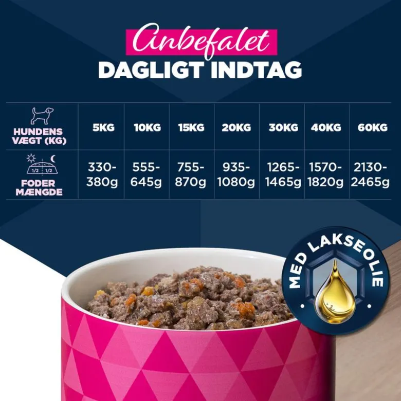 Eukanuba Adult Rig på ørred med søde kartofler