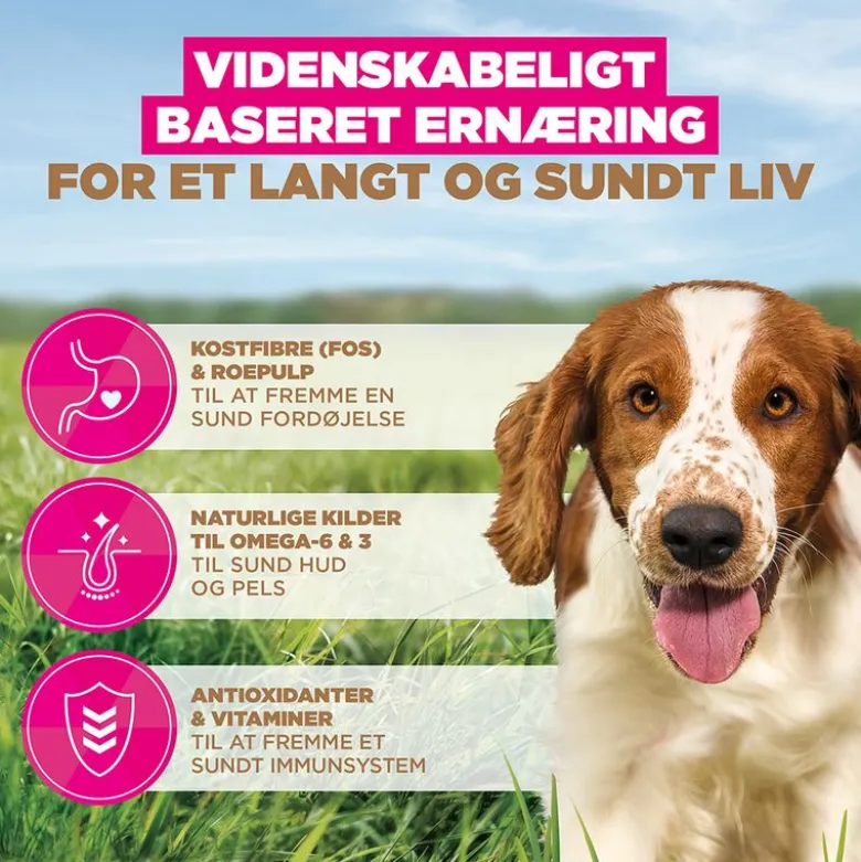Eukanuba Grain Free Adult Small & Medium med havfisk