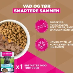 Eukanuba Grain Free Adult Small & Medium med kylling