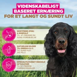 Eukanuba Grain Free Adult Wild