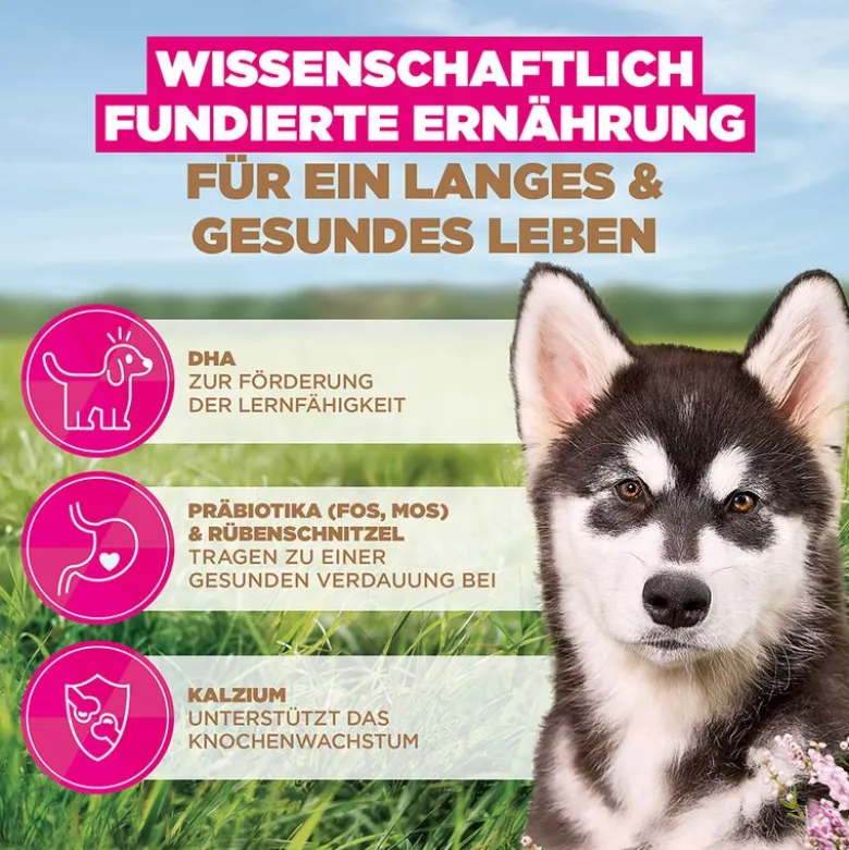 Eukanuba Grain Free Puppy Large & Giant Breed Havfisk