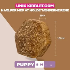 Eukanuba Grain Free Puppy Small & Medium Breed Havfisk