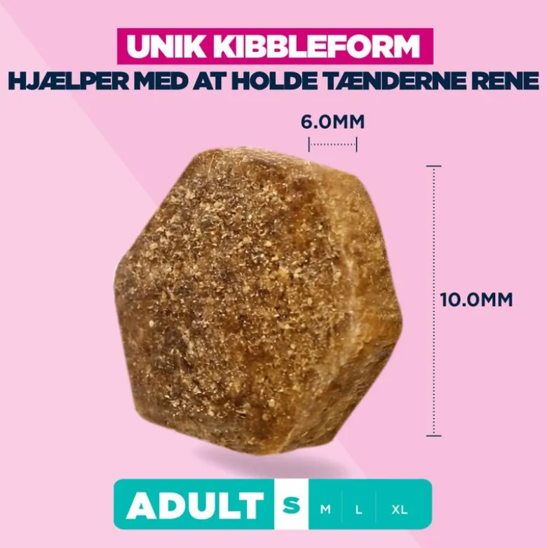 Eukanuba Premium Nutrition Adult Small Breed Kylling