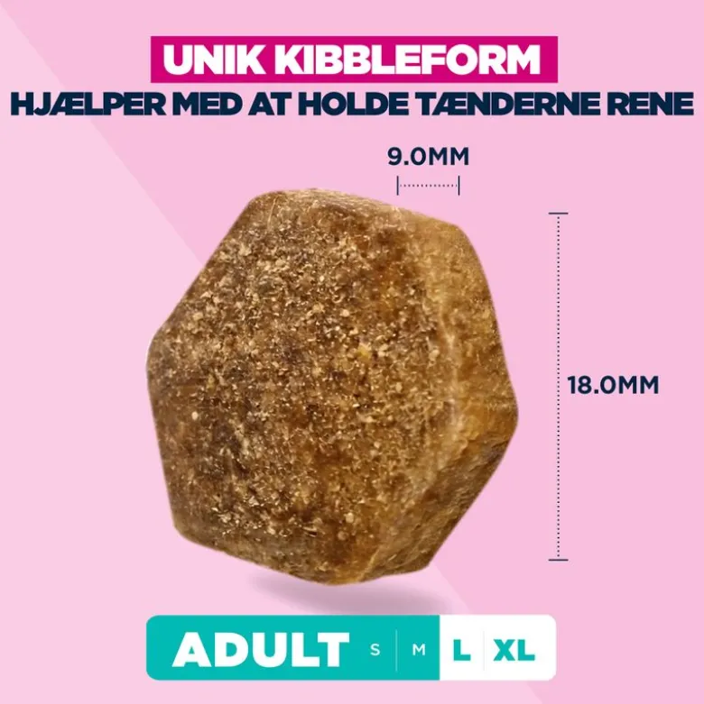 Eukanuba Premium Nutrition Adult Large & Giant Breed Lam & Ris