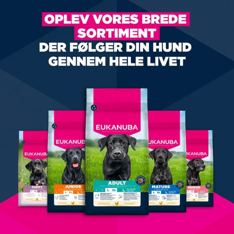 Eukanuba Premium Nutrition Adult Large & Giant Breed Kylling