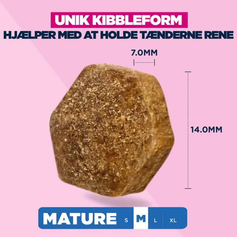 Eukanuba Premium Nutrition Mature Medium Breed Kylling