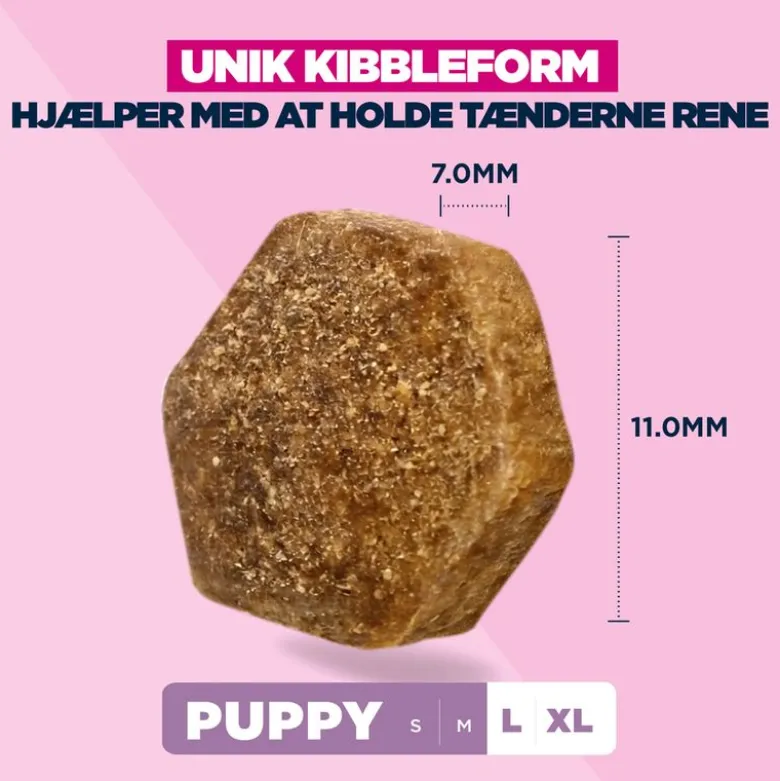 Eukanuba Premium Nutrition Puppy Large & Giant Breed Kylling