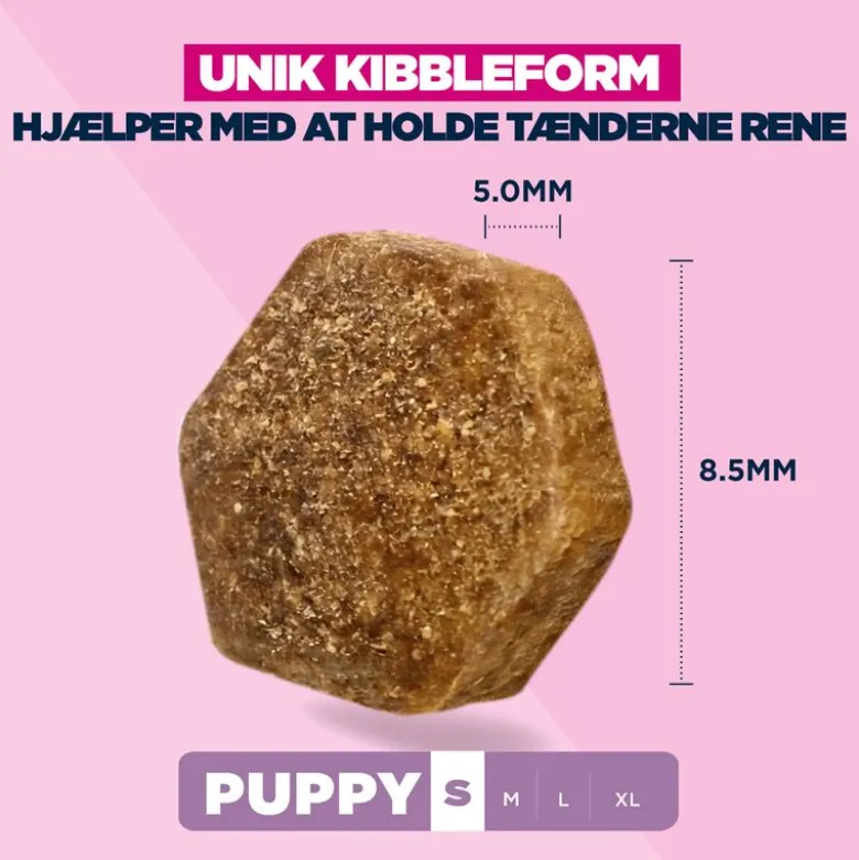 Eukanuba Premium Nutrition Puppy Small Breed Kylling