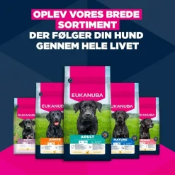 Eukanuba Premium Nutrition Senior Large & Giant Breed Kylling