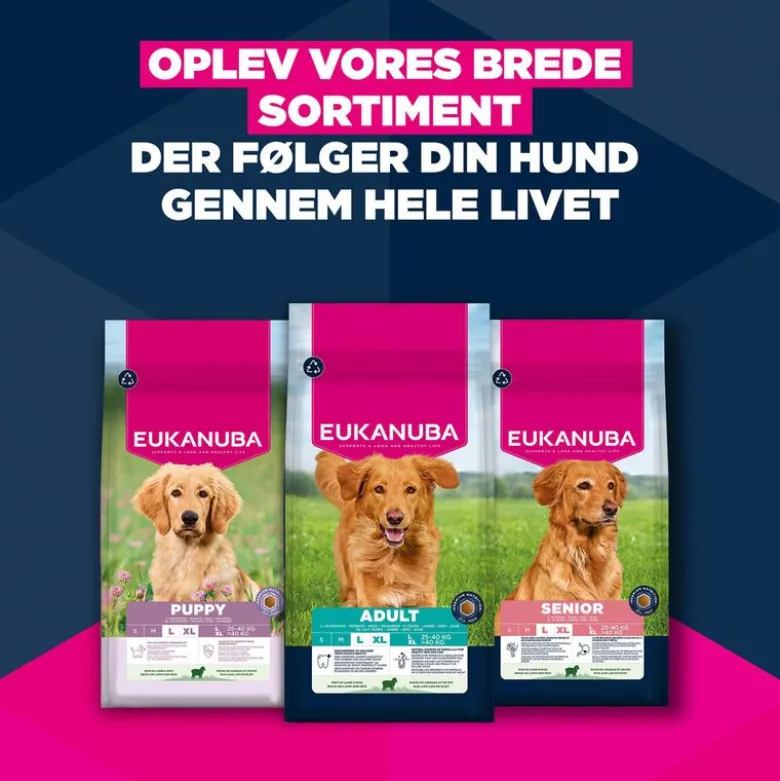 Eukanuba Premium Nutrition Senior Large & Giant Breed Lam & Ris