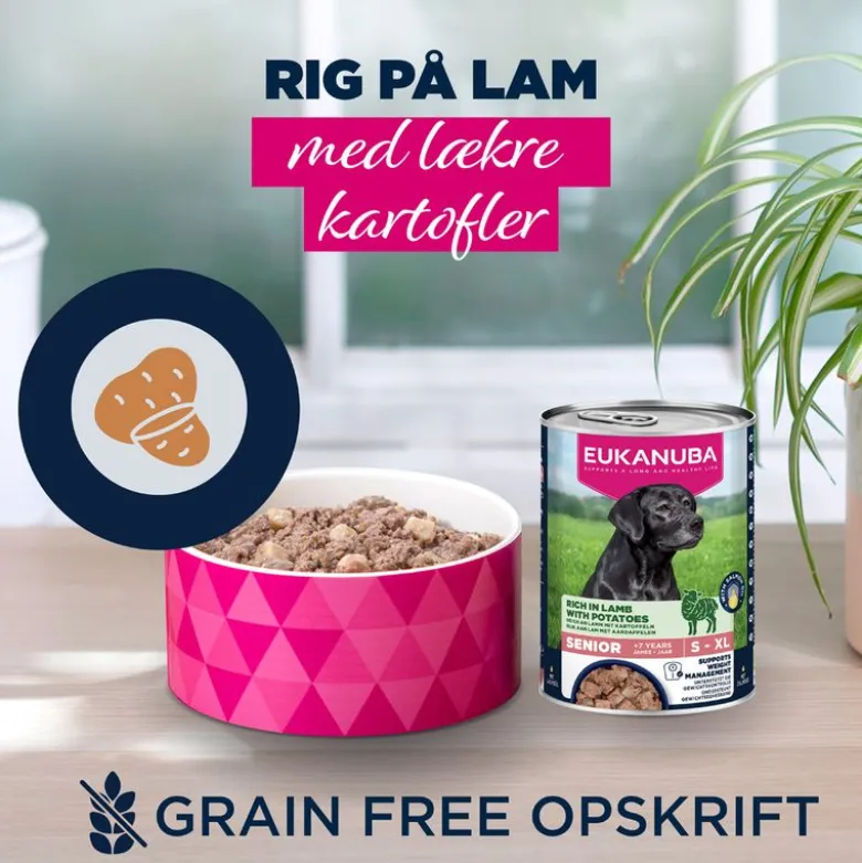 Eukanuba Senior Rig på lam med kartofler
