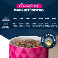 Eukanuba Senior Rig på okse med græskar