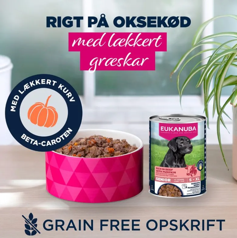 Eukanuba Senior Rig på okse med græskar