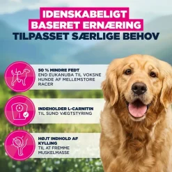 Eukanuba Special Care Overweight Adult