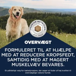 Eukanuba Special Care Overweight Adult