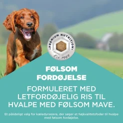 Eukanuba Special Care Sensitive Digestion Puppy med kylling og kalkun