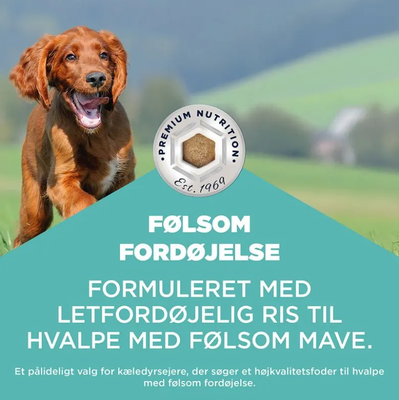 Eukanuba Special Care Sensitive Digestion Puppy med kylling og kalkun