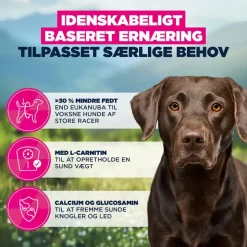 Eukanuba Special Care Weight Control Large Adult