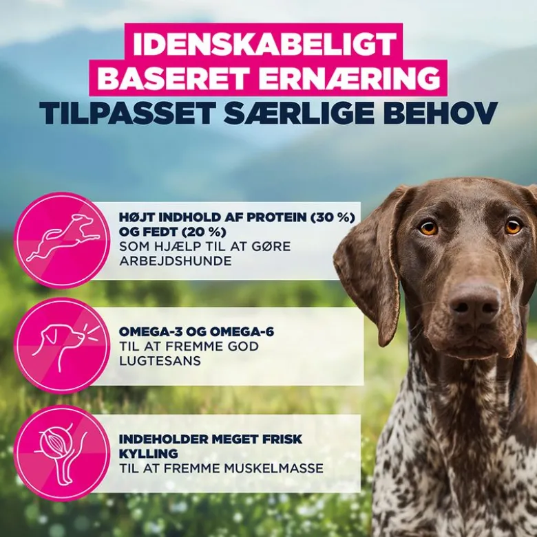 Eukanuba Special Care Working & Endurance Adult