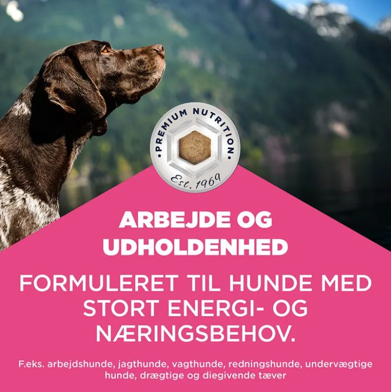 Eukanuba Special Care Working & Endurance Adult