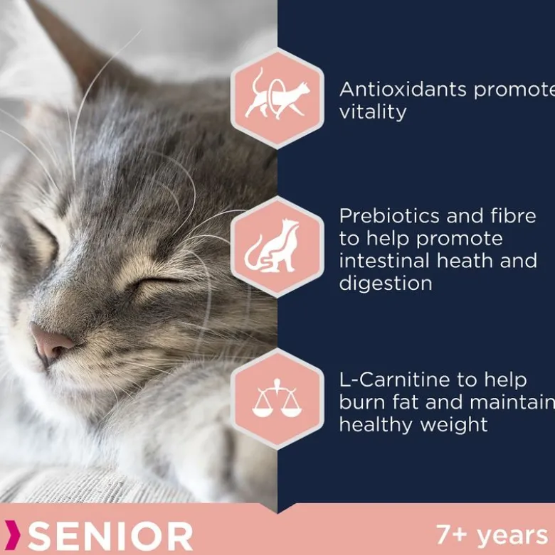 Eukanuba Top Condition 7+ Senior