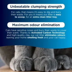 Ever Clean® Lavender Clumping