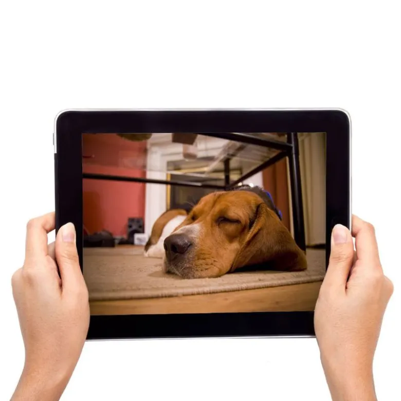 EYENIMAL PET VISION LIVE FULL HD Camera