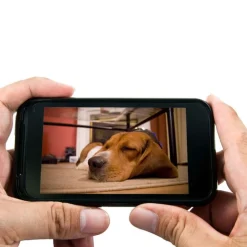 EYENIMAL PET VISION LIVE FULL HD Camera