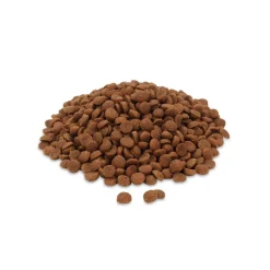 Feringa Adult Single Meat Beef (klassisk oksekød)