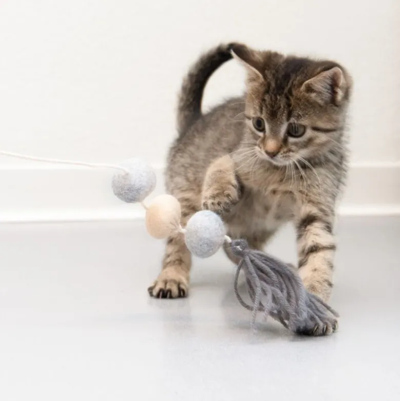 Flauschi drillepind