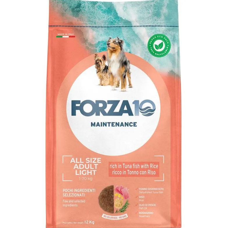 Forza 10 Light Maintenance Light Tun & Ris