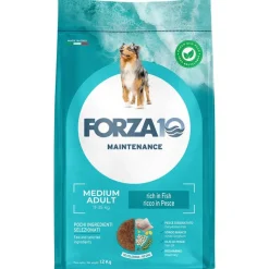 Forza 10 Medium Maintenance Fisk