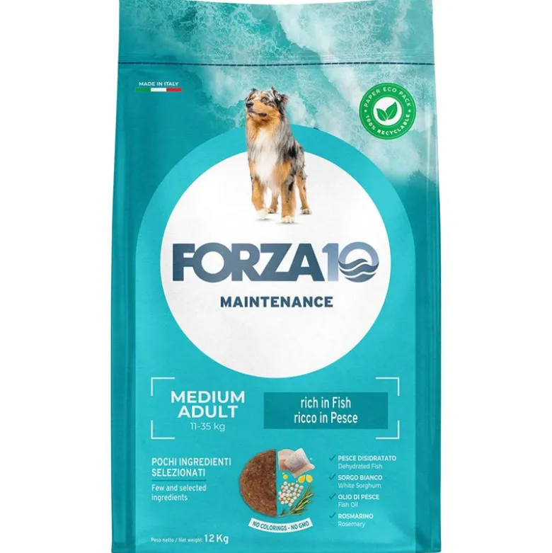 Forza 10 Medium Maintenance Fisk