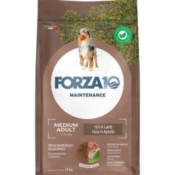 Forza 10 Medium Maintenance lam og ris