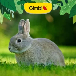 Gimbi Mother Nature Kaninpiller