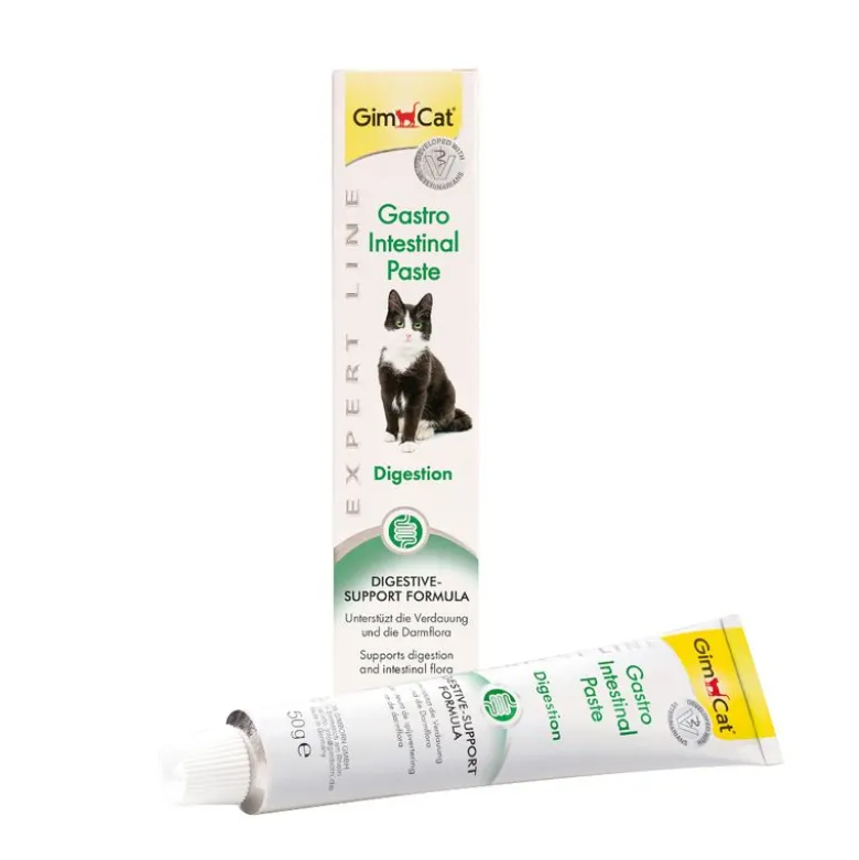 GimCat Gastro Intestinal Pasta
