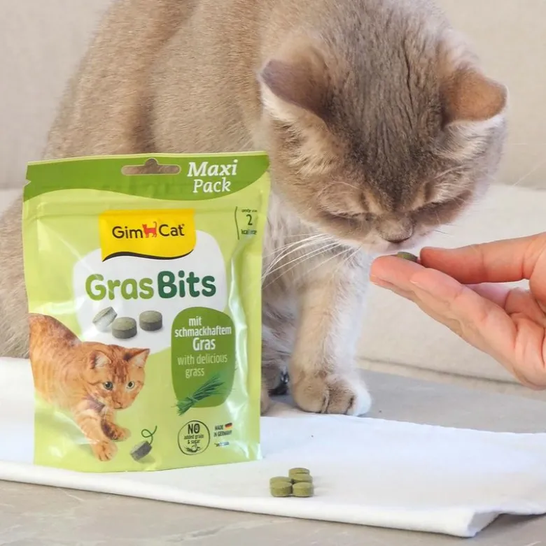 GimCat GræsBits