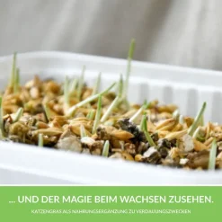 GimCat Hydro-Gras 150 g