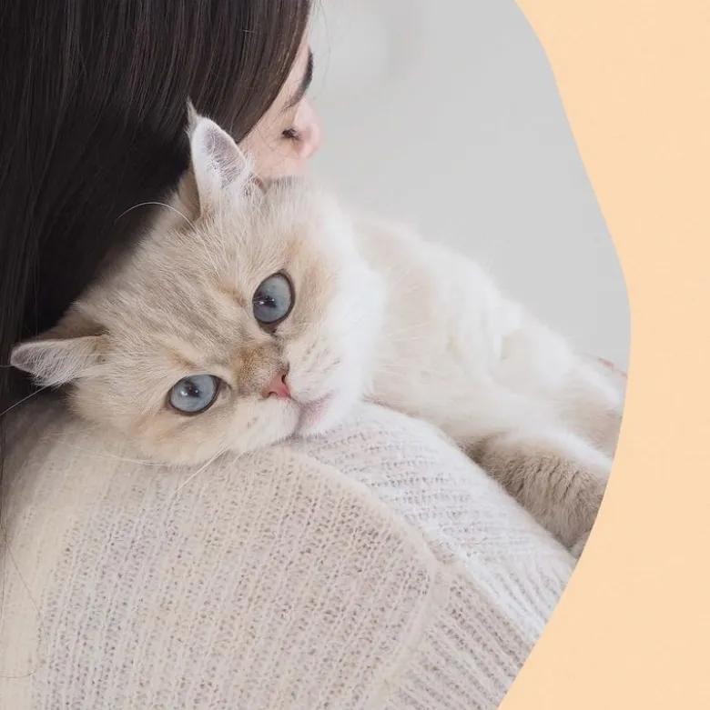 GimCat Nutri Vitamin Bites med kylling