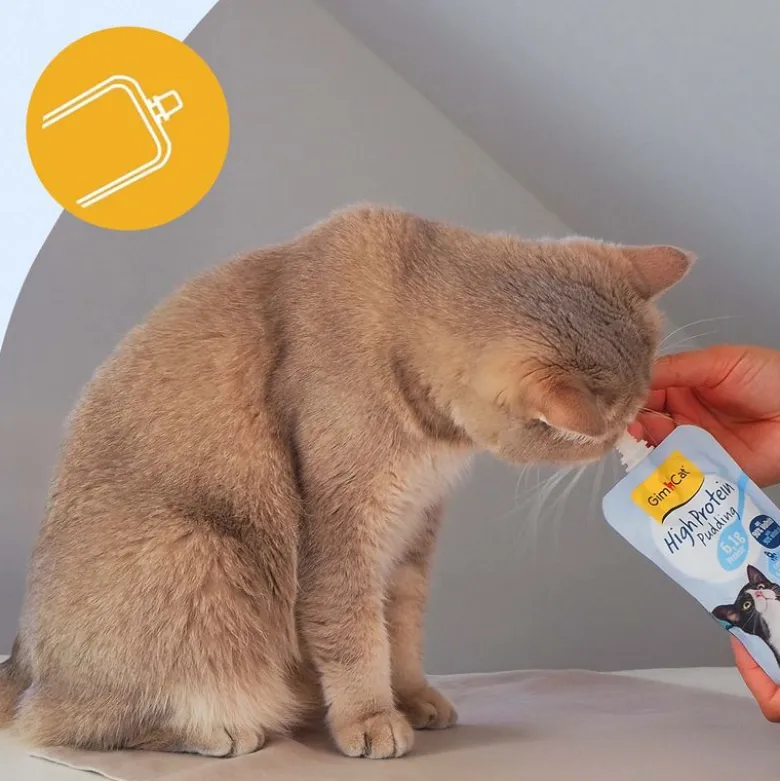 GimCat Pudding til katte