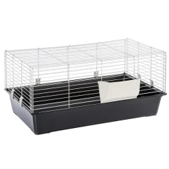 Gnaverbur Piggy Basic