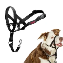Halti hundesele sort