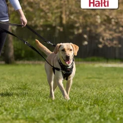Halti træningssnor