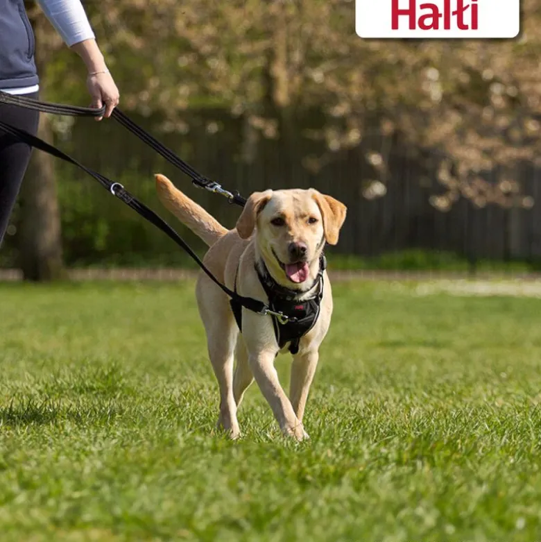 Halti træningssnor