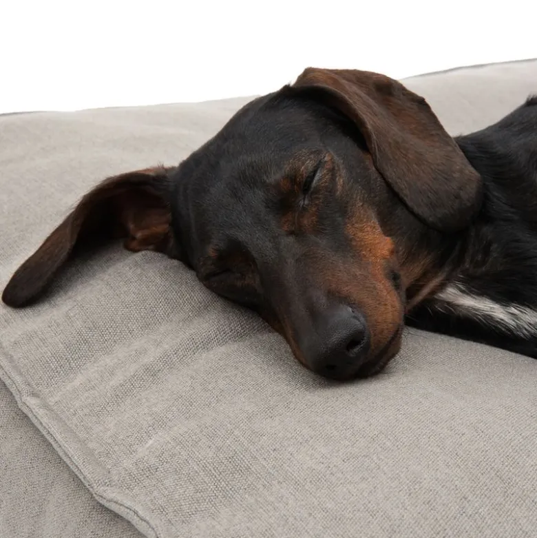 Hamilton ecoLIFE Hundeseng, grå