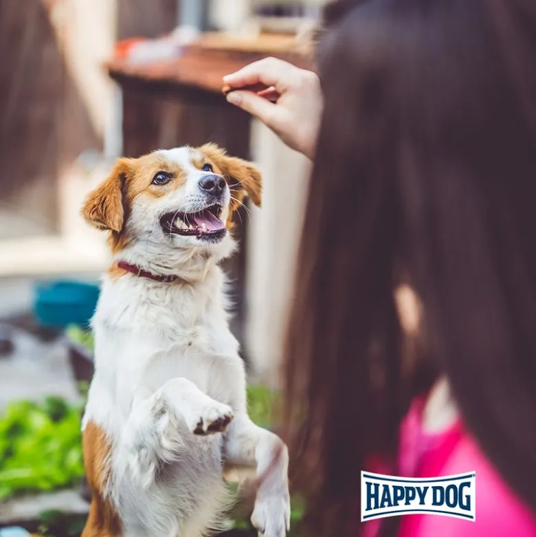 Happy Dog Meat snack